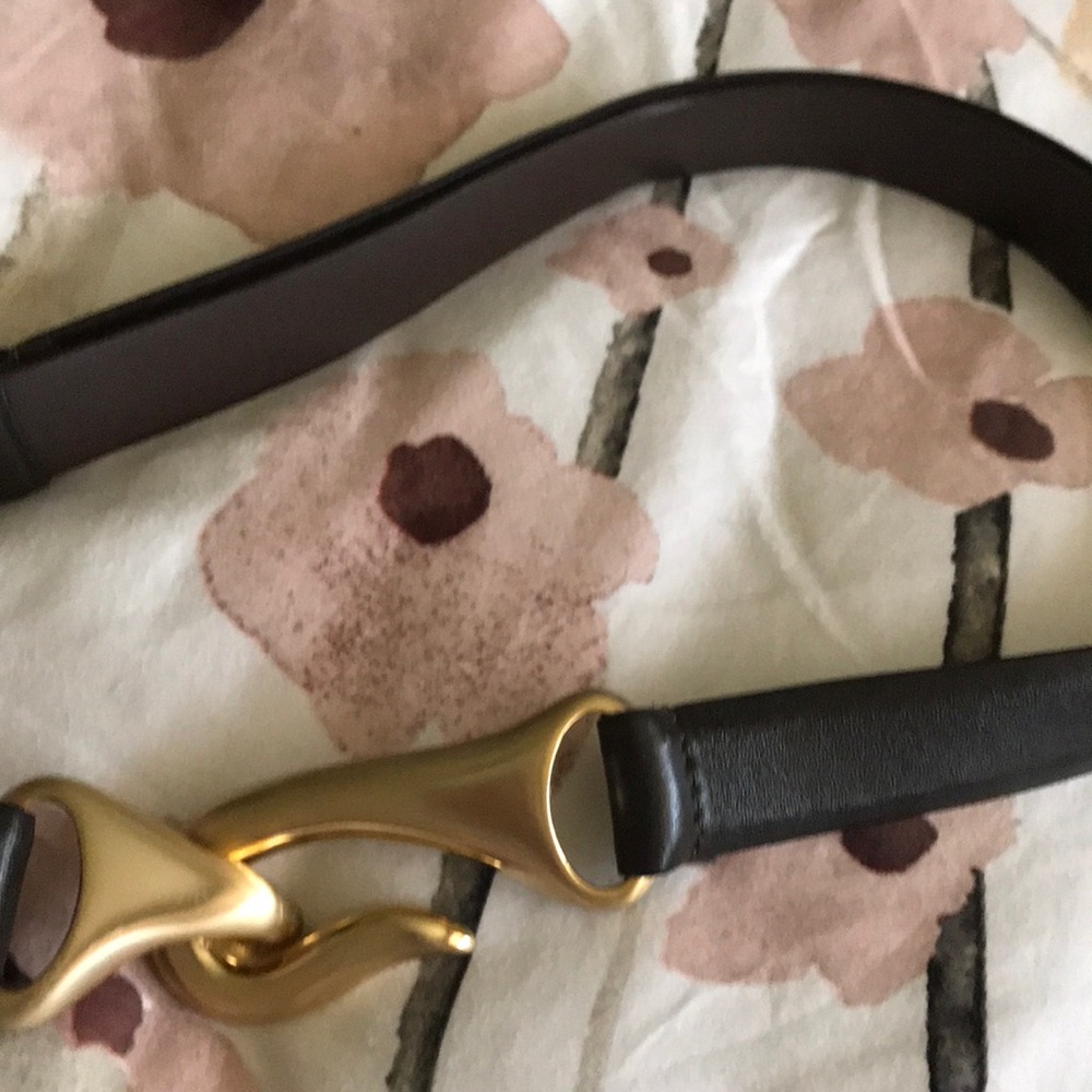 Chico Hook Belt